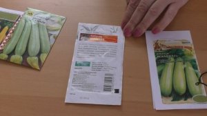 Какие кабачки посадить в 2018г? Сорта и гибриды для открытого и закрытого грунта.