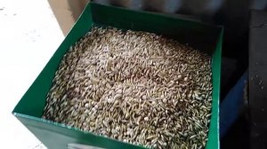 Приготовление корма для КРС