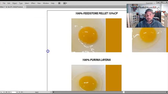 How to get Orange Egg Yolks смотреть онлайн