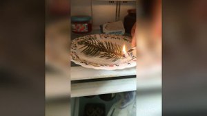 Убираю неприятный запах из холодильника. Как убрать вонь из холодильника.