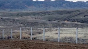 Сауыр Тарбағатай