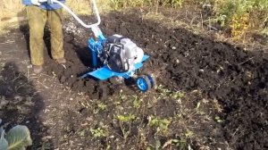 Культиватор Нева МК-200-Н5.0 .Осенняя проба после покупки. 20.10.2013г.