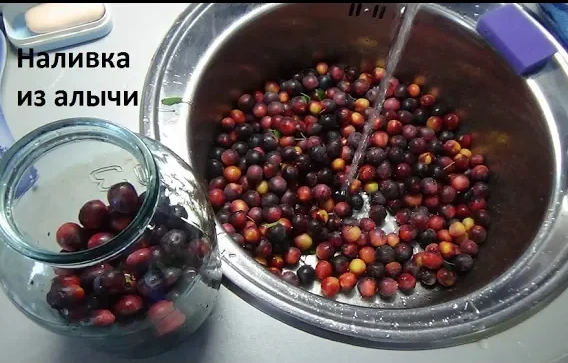 Наливка из алычи (спиртовая настойка из алычи)