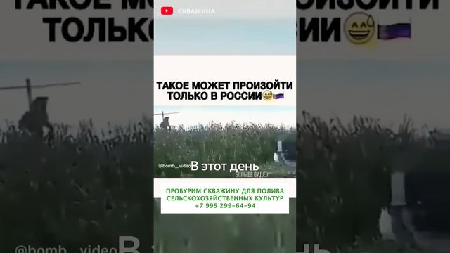 ЭТО МОЯ КУКУРУЗА