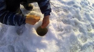 ловля на косынку. косынка