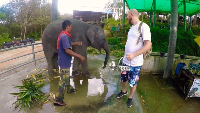 Поцелуй слоника смотреть онлайн