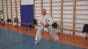 КИОКУШИНКАЙ  КАРАТЭ  ---  БАЗОВЫЕ  КАТА  !!!!   ШИХАН ФОМИН ТАИКЕКУ 1 3