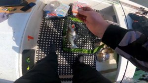 Астрахань, весна 2023 Замьяны. Судаки как из пулемёта. Подписчики поймали!!! Судак, Щука! База 77/9