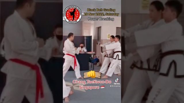 Color Belt Power Breaking Test | 21 November 2022 [#505]