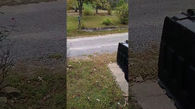 Target practice with my pistol смотреть онлайн