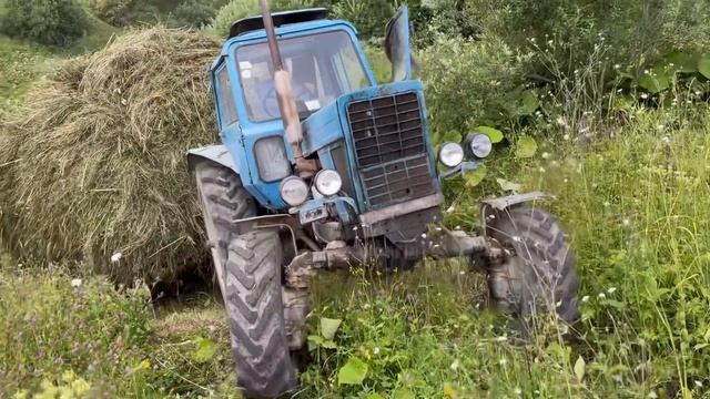 Трактор Беларусь МТЗ 82 Возить Сена 2021 смотреть онлайн