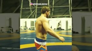 Белый медведь