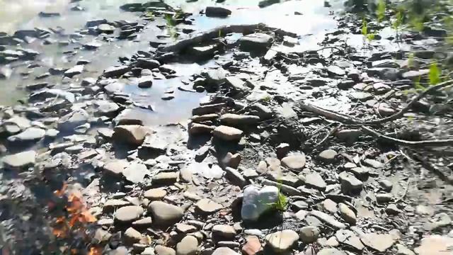 Влог. Походка в лес. Сожгли матрас.!!!!!! Смешная история с места событий. смотреть онлайн