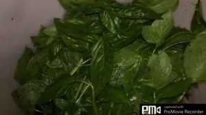 Заготовка на зиму базилик и петрушку.