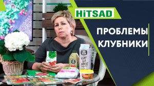 НЕ СЛАДКАЯ КЛУБНИЧКА 10 основных проблем клубники ЧТО ДЕЛАТЬ СОВЕТЫ ОТ ХИТСАД ТВ