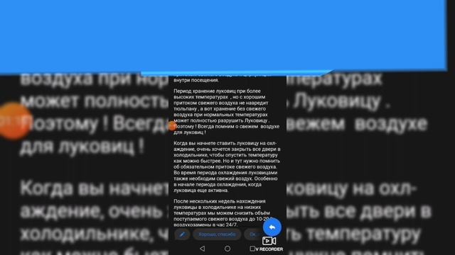 Хранение луковицы. Как не запороть будущую выгонку смотреть онлайн