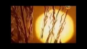 Долгожители Китая.  Населённый пункт Бама