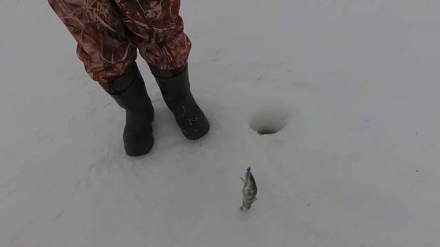 Ловля бершей на бокоплав. Зимняя рыбалка на реке Кама. смотреть онлайн