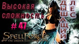 Прохождение SpellForce: The Order of Dawn (серия 47) Последние штрихи