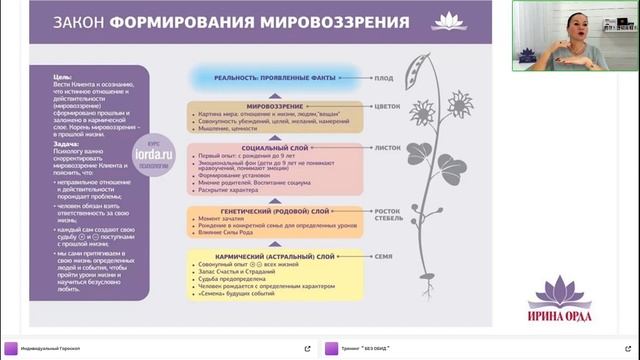 Без обид. Проработка семейных сценариев. Ирина Орда