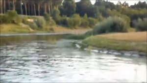 Комбинированный катер Неман 500 в г. Гомель