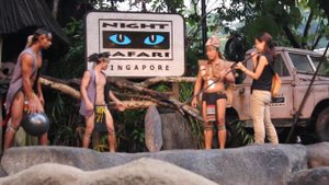 Сингапур: Шоу Ночное Сафари/ Singapore: Night Safari Show.