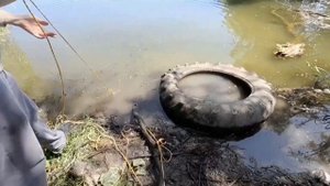 Поисковым магнитом находки в Динской
