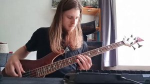 Homo Sapiens (YUP) - Bass Cover