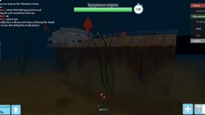 Как получить шлем в SharkBite