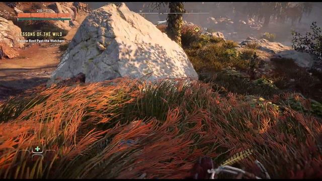 Aloy The Story/Horizon Zero Dawn Complete Edition/The Movie