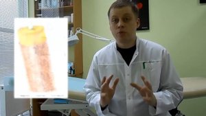 Строение стержня волос