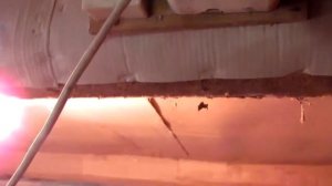 Автоматическое включение света/вентиляции в курятнике