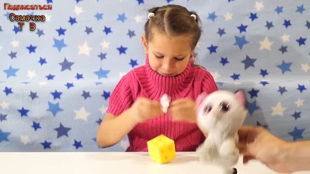 Игрушка Мышки в сыре Play visions Мышата и кусочек сыра Stretchy Mice & Cheese видео для д смотреть онлайн