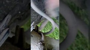 Замена задних стоек Киа шума