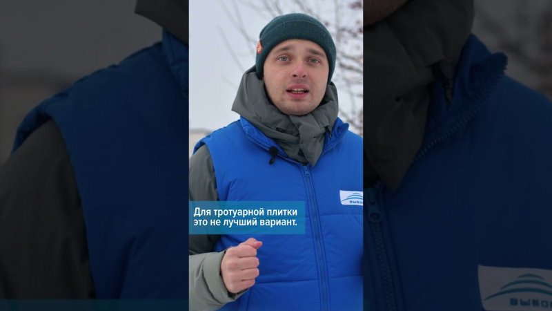 Можно ли брусчатку посыпать солью? #shorts