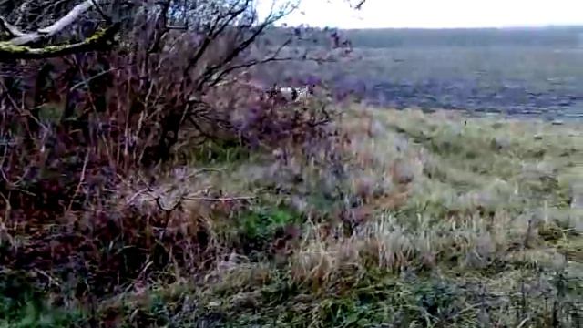 РПГ Беркут вл. Людвичак смотреть онлайн