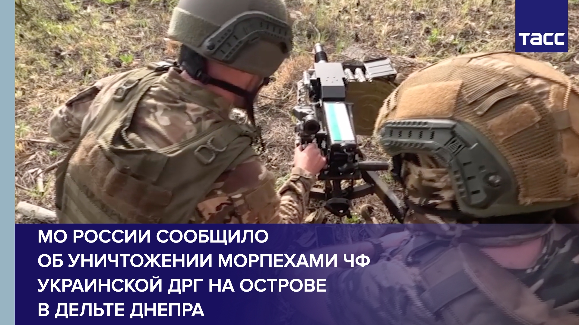 МО России сообщило об уничтожении морпехами ЧФ украинской ДРГ на острове в дельте Днепра