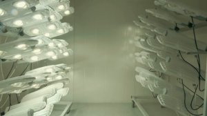 Предприятие «Pandora» | г. Калуга | 2022 г.