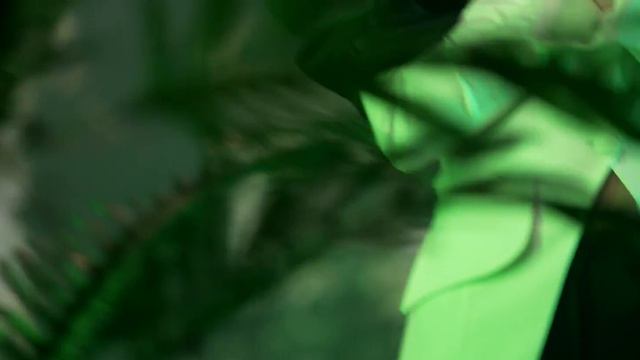 Camelia Pop ❌ La primul sărut 💋 Official Video смотреть онлайн