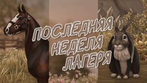 Последняя неделя лагеря "Вестерн"|Новая гонка|+ Покупка лошади|Star Stable