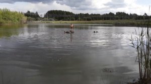 Дети купаются в  озере рядом с фенольными отстойниками  на Подземгазе