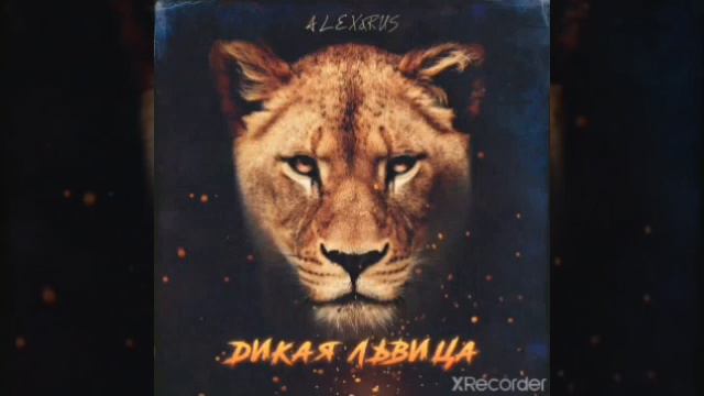 Клип дикая львица смотреть онлайн