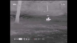 Тепловизор Conotech Tracer LRF 25PRO с лазерным дальномером