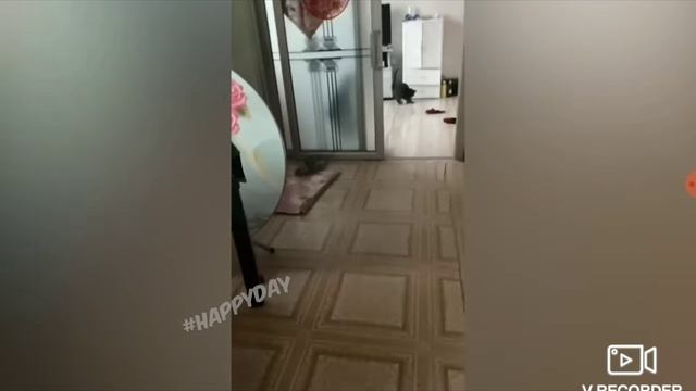 отказали тормоза?