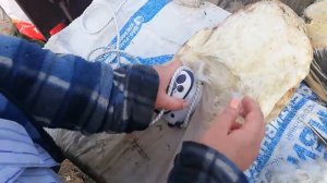 Ощип утки