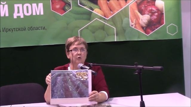 Картофель Опыт Куйтуна смотреть онлайн