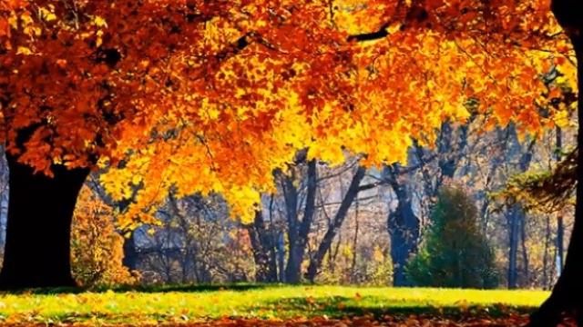 Листопад от ТАТЬЯНОЧКИ.) смотреть онлайн