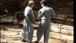 ФОРМА 108 В ДВИЖЕНИИ. ВИН ЧУН