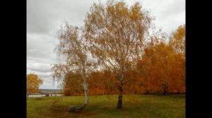 "Запели тёсаные дроги..." /на стихи С.А. Есенина/