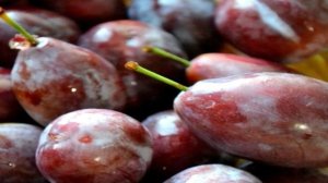 Сливовое варенье с орехами по-грузински